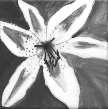 Иллюстрация к книге — Все о плитке. Укладка своими руками [i_005.jpg]