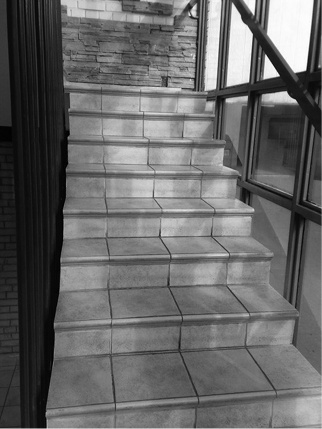 Иллюстрация к книге — Все о плитке. Укладка своими руками [i_006.jpg]