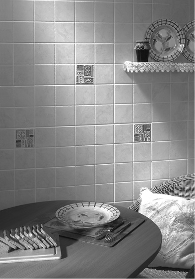 Иллюстрация к книге — Все о плитке. Укладка своими руками [i_010.jpg]