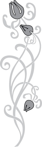 Иллюстрация к книге — Все о плитке. Укладка своими руками [i_013.jpg]