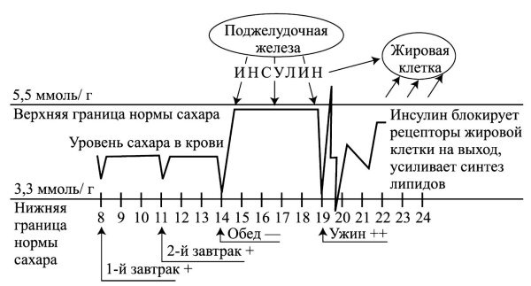 Иллюстрация к книге — Моя программа стройности [Autogen_eBook_id39.jpg]
