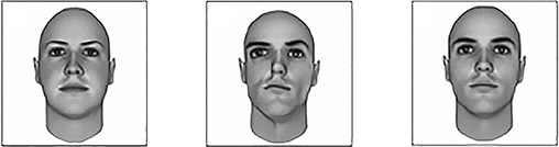 Иллюстрация к книге — Математика любви. Закономерности, доказательства и поиск идеального решения [i_005.jpg]