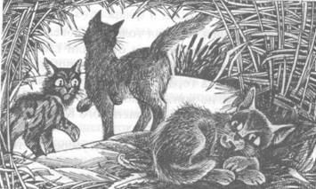 Иллюстрация к книге — Обещание Метеора. Западня [pic_14.jpg]