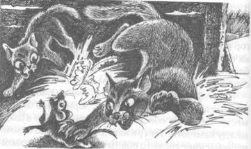 Иллюстрация к книге — Обещание Метеора. Западня [pic_18.jpg]