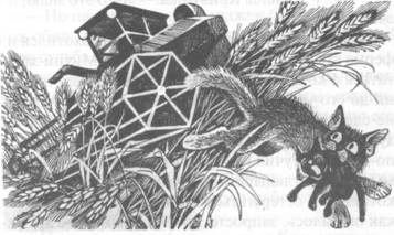 Иллюстрация к книге — Обещание Метеора. Западня [pic_20.jpg]