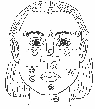 Иллюстрация к книге — Покажи мне свою сумочку – и я скажу, кто ты. 32 фокуса визуальной психодиагностики [i_011.jpg]