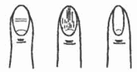 Иллюстрация к книге — Покажи мне свою сумочку – и я скажу, кто ты. 32 фокуса визуальной психодиагностики [i_012.jpg]