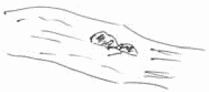 Иллюстрация к книге — Покажи мне свою сумочку – и я скажу, кто ты. 32 фокуса визуальной психодиагностики [i_091.jpg]