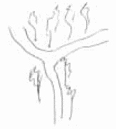 Иллюстрация к книге — Покажи мне свою сумочку – и я скажу, кто ты. 32 фокуса визуальной психодиагностики [i_097.jpg]