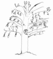 Иллюстрация к книге — Покажи мне свою сумочку – и я скажу, кто ты. 32 фокуса визуальной психодиагностики [i_103.jpg]