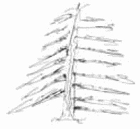 Иллюстрация к книге — Покажи мне свою сумочку – и я скажу, кто ты. 32 фокуса визуальной психодиагностики [i_105.jpg]