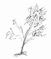 Иллюстрация к книге — Покажи мне свою сумочку – и я скажу, кто ты. 32 фокуса визуальной психодиагностики [i_107.jpg]