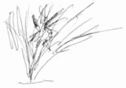 Иллюстрация к книге — Покажи мне свою сумочку – и я скажу, кто ты. 32 фокуса визуальной психодиагностики [i_109.jpg]