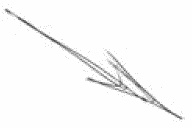 Иллюстрация к книге — Покажи мне свою сумочку – и я скажу, кто ты. 32 фокуса визуальной психодиагностики [i_111.jpg]