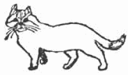 Иллюстрация к книге — Покажи мне свою сумочку – и я скажу, кто ты. 32 фокуса визуальной психодиагностики [i_117.jpg]