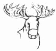 Иллюстрация к книге — Покажи мне свою сумочку – и я скажу, кто ты. 32 фокуса визуальной психодиагностики [i_119.jpg]