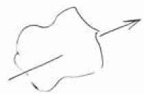 Иллюстрация к книге — Покажи мне свою сумочку – и я скажу, кто ты. 32 фокуса визуальной психодиагностики [i_121.jpg]