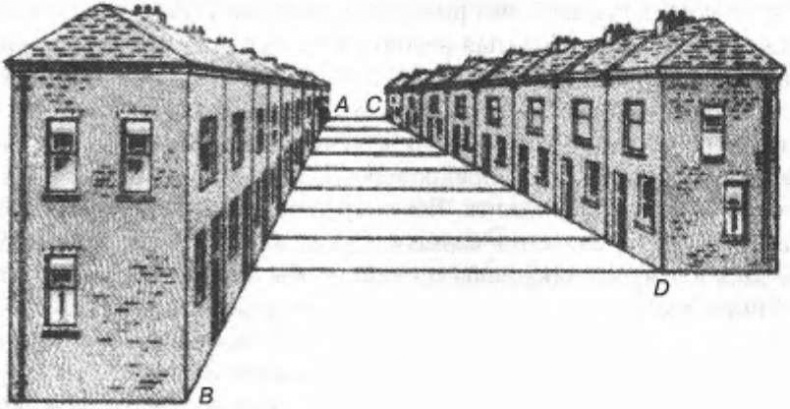 Иллюстрация к книге — Интуиция [i_004.jpg]