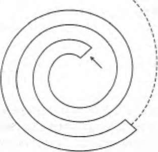 Иллюстрация к книге — Интуиция [i_011.jpg]