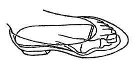 Иллюстрация к книге — Плоскостопие. Легкая походка - здоровый позвоночник [Autogen_eBook_id12.jpg]