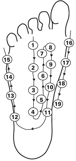 Иллюстрация к книге — Жемчужины азиатской медицины [Autogen_eBook_id2.jpg]