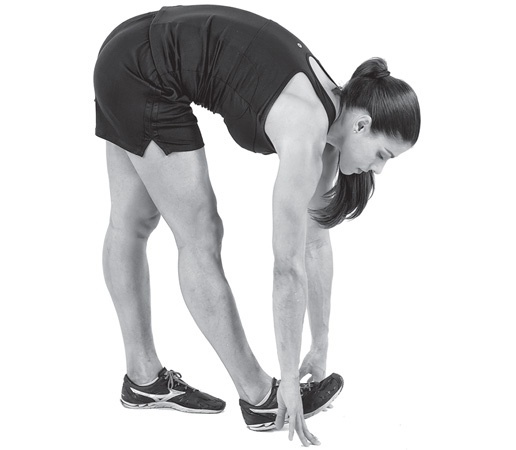 Иллюстрация к книге — Бегайте быстрее, дольше и без травм [i_024.jpg]