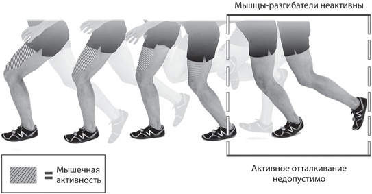 Иллюстрация к книге — Бегайте быстрее, дольше и без травм [i_056.jpg]