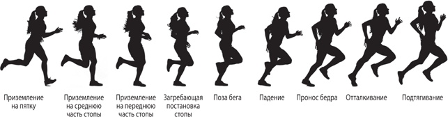 Иллюстрация к книге — Бегайте быстрее, дольше и без травм [i_066.jpg]