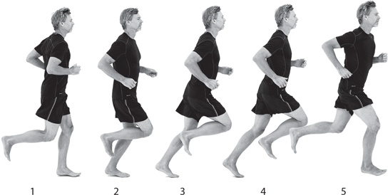 Иллюстрация к книге — Бегайте быстрее, дольше и без травм [i_067.jpg]