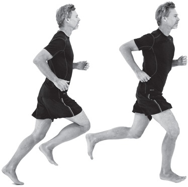 Иллюстрация к книге — Бегайте быстрее, дольше и без травм [i_081.jpg]