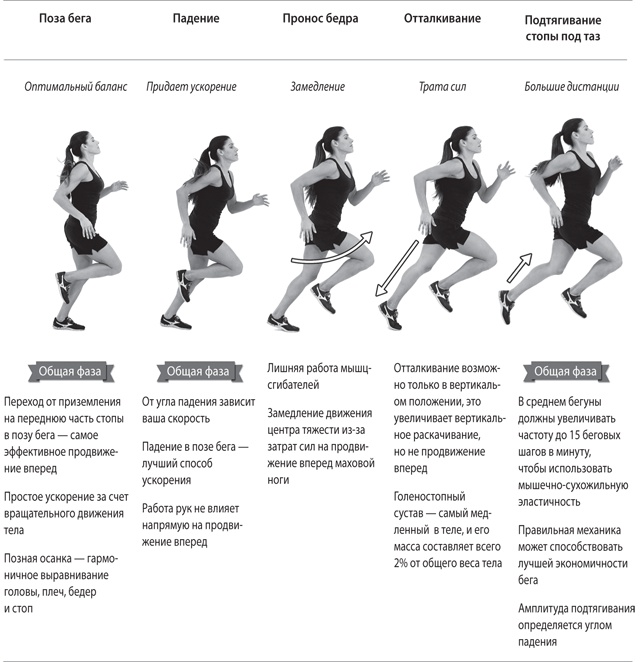 Иллюстрация к книге — Бегайте быстрее, дольше и без травм [i_114.jpg]