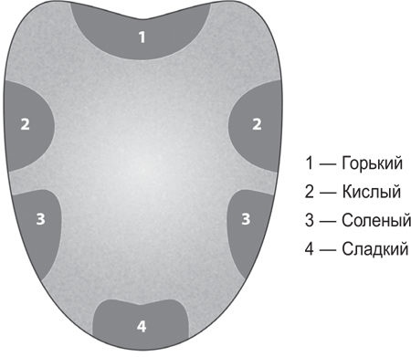 Иллюстрация к книге — Вселенная внутри вас [i_016.jpg]
