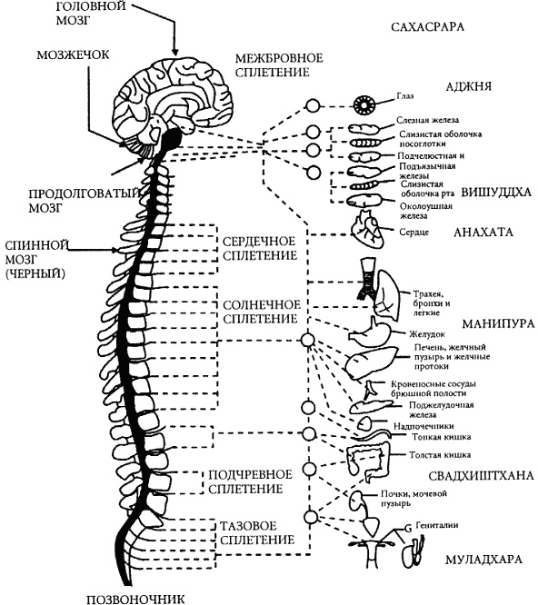 Иллюстрация к книге — В ожидании чуда. Дети и родители [_050.jpg]