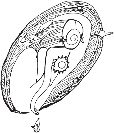 Иллюстрация к книге — Путь от рождения к мудрости, или Как вырастить детей счастливыми [_3.jpg]