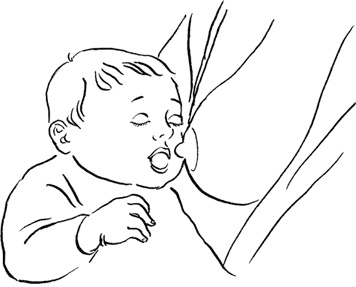 Иллюстрация к книге — Как быть счастливой мамой довольного малыша от 0 до 1 года [i_031.jpg]