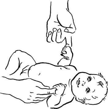 Иллюстрация к книге — Как быть счастливой мамой довольного малыша от 0 до 1 года [i_032.jpg]