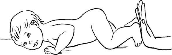 Иллюстрация к книге — Как быть счастливой мамой довольного малыша от 0 до 1 года [i_033.jpg]