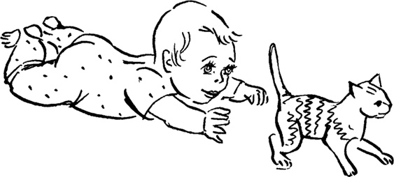 Иллюстрация к книге — Как быть счастливой мамой довольного малыша от 0 до 1 года [i_086.jpg]