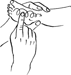 Иллюстрация к книге — Как быть счастливой мамой довольного малыша от 0 до 1 года [i_210.jpg]