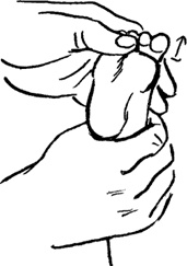 Иллюстрация к книге — Как быть счастливой мамой довольного малыша от 0 до 1 года [i_211.jpg]