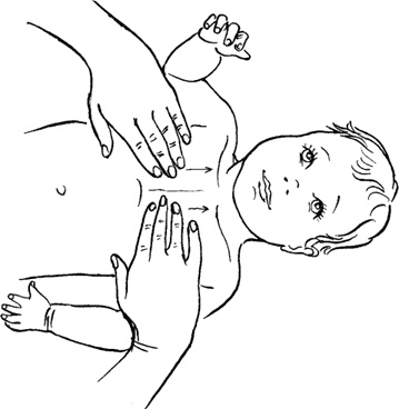 Иллюстрация к книге — Как быть счастливой мамой довольного малыша от 0 до 1 года [i_217.jpg]