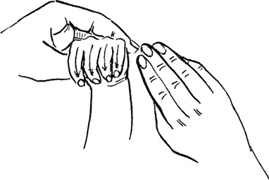 Иллюстрация к книге — Как быть счастливой мамой довольного малыша от 0 до 1 года [i_224.jpg]