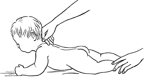 Иллюстрация к книге — Как быть счастливой мамой довольного малыша от 0 до 1 года [i_228.jpg]