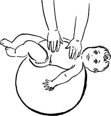 Иллюстрация к книге — Как быть счастливой мамой довольного малыша от 0 до 1 года [i_236.jpg]