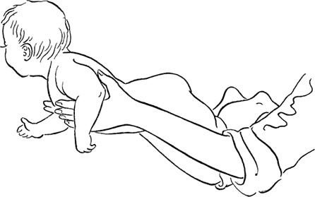 Иллюстрация к книге — Как быть счастливой мамой довольного малыша от 0 до 1 года [i_251.jpg]