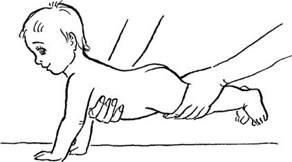 Иллюстрация к книге — Как быть счастливой мамой довольного малыша от 0 до 1 года [i_273.jpg]