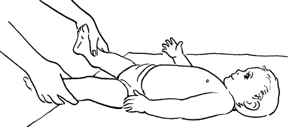 Иллюстрация к книге — Как быть счастливой мамой довольного малыша от 0 до 1 года [i_277.jpg]