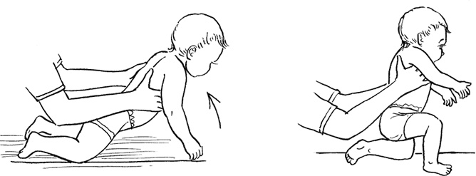 Иллюстрация к книге — Как быть счастливой мамой довольного малыша от 0 до 1 года [i_282.jpg]