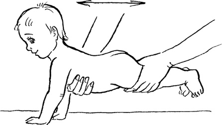 Иллюстрация к книге — Как быть счастливой мамой довольного малыша от 0 до 1 года [i_284.jpg]