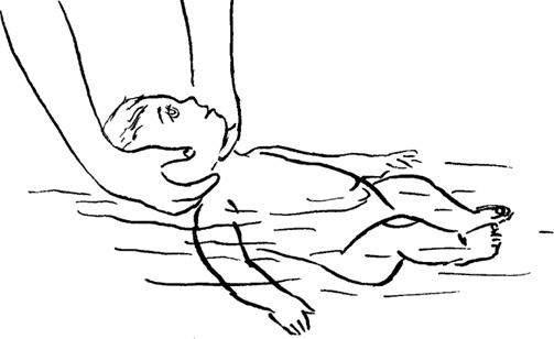 Иллюстрация к книге — Как быть счастливой мамой довольного малыша от 0 до 1 года [i_299.jpg]